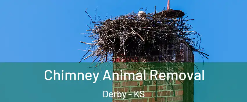  Chimney Animal Removal Derby - KS