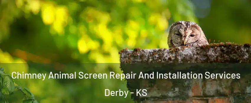  Chimney Animal Screen Repair And Installation Services Derby - KS