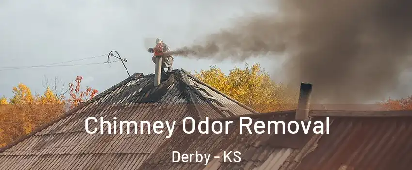  Chimney Odor Removal Derby - KS