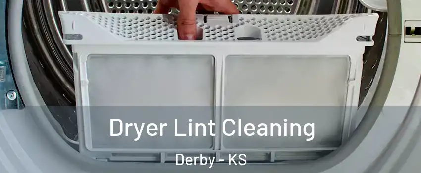 Dryer Lint Cleaning Derby - KS